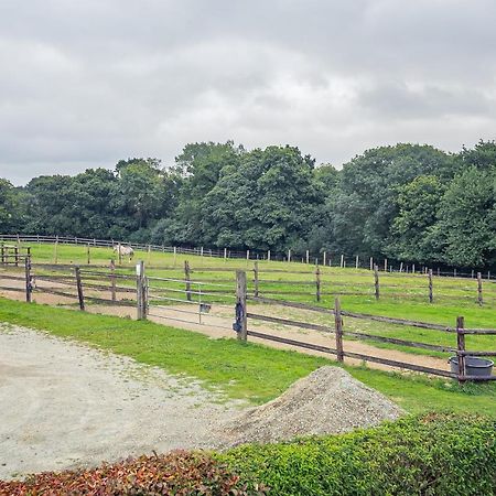 Appartamento Le Galop Tremereuc Esterno foto